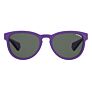 Polaroid Eyewear PLD8030/S