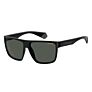 Polaroid Eyewear PLD6076/S