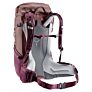 Deuter planinarski ruksak Futura 24 SL
