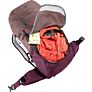 Deuter planinarski ruksak Futura 24 SL