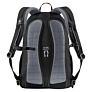 Deuter Gogo
