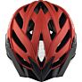 Alpina Sports PANOMA 2.0 LE