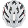 Alpina Sports PANOMA 2.0 LE