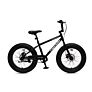 Capriolo bicikl FAT BOY 20/1