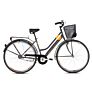 Capriolo bicikl AMSTERDAM LADY steel basket