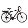 Capriolo bicikl E BIKE ROADSTER MAN