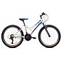 Capriolo bicikl MTB DIAVOLO 400/18HT