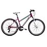 Capriolo bicikl MTB MONITOR FSL