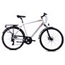 Capriolo bicikl TOUR ROADSTER M DISC