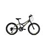 Capriolo bicikl MTB DIAVOLO 200 20"/6HT