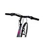 Capriolo bicikl MTB PASSION L 26"/18HT