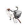 Capriolo bicikl CTB AMSTERDAM LADY 28"HT