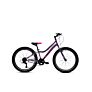 Capriolo bicikl MTB DIAVOLO 400/6HT