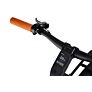 Capriolo električni bicikl BELT DRIVE 28"