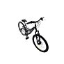 Capriolo bicikl MTB CTX240 24"/18HT DISC