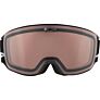 Alpina Sports skijaške naočale NAKISKA Q