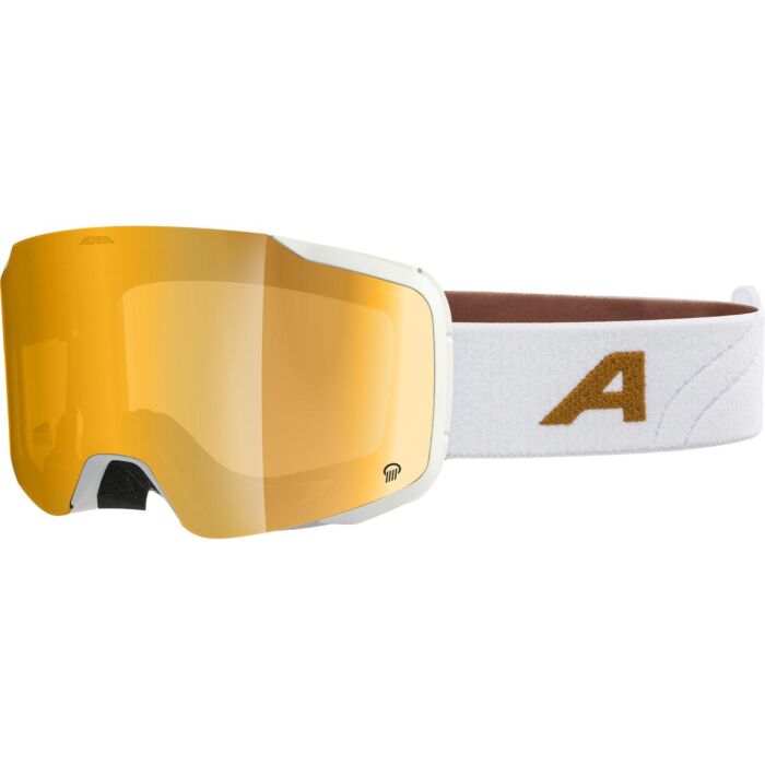 Alpina Sports skijaške naočale TAOS Q
