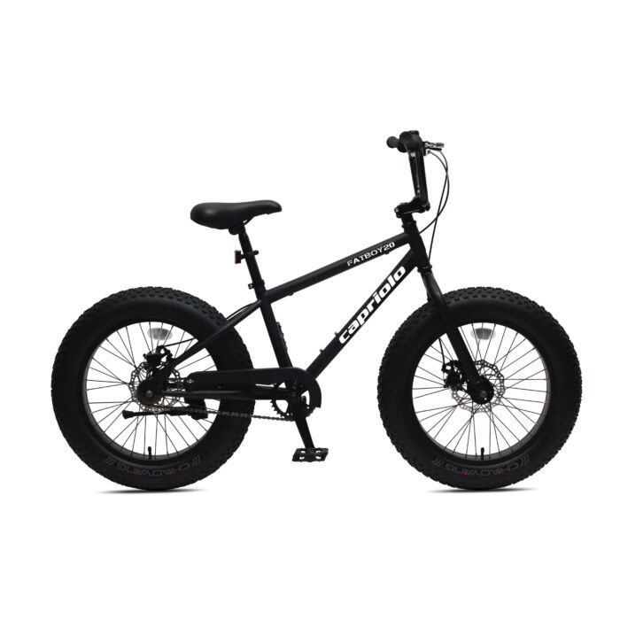 Capriolo bicikl FAT BOY 20/1