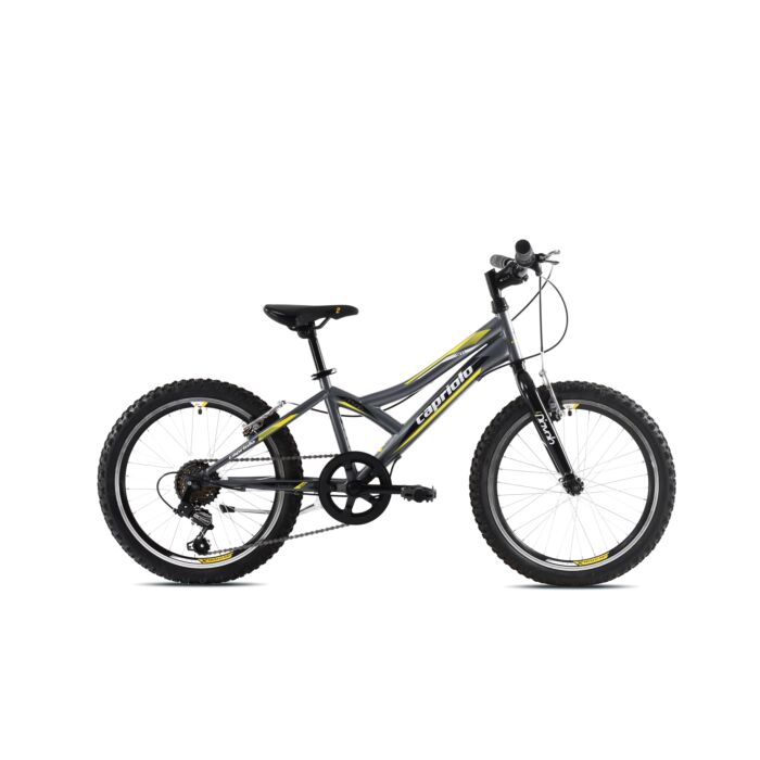 Capriolo bicikl MTB DIAVOLO 200 20"/6HT