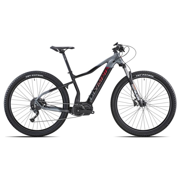 Olympia električni bicikl PERFORMER 900
