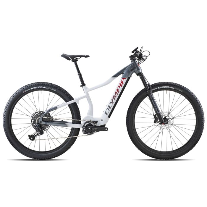 Olympia električni bicikl PERFORMER 900