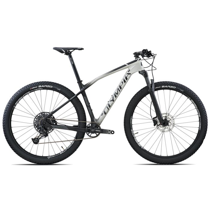 Olympia IRON TEAM 1S XT 12s