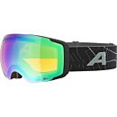 Alpina Sports skijaške naočale FALERA MAG Q-LITE