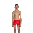 Speedo dječje kupaće gaće PLMT PNL ASHT V3