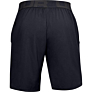 Under Armour VANISH WOVEN SHORTS