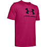 Under Armour SPORTSTYLE LOGO SS
