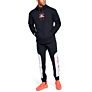 Under Armour MOMENTS FLEECE P/O HOODY