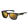 Polaroid Eyewear PLD2065/S