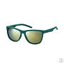 Polaroid Eyewear PLD 6014/S