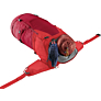 Deuter planinarski ruksak Futura 32