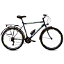 Capriolo bicikl METROPOLIS M 26/18HT