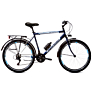 Capriolo bicikl METROPOLIS M 26/18HT