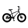 Capriolo bicikl FAT BOY 20/1