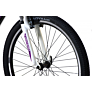 Capriolo bicikl MTB HANNAH FSL 26"/21AL