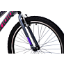 Capriolo bicikl MTB DIAVOLO 600/18HT