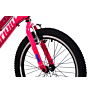 Capriolo dječji bicikl MTB DIAVOLO 200