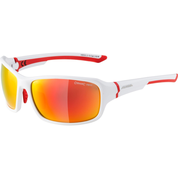 Alpina Sports biciklističke naočale LYRON