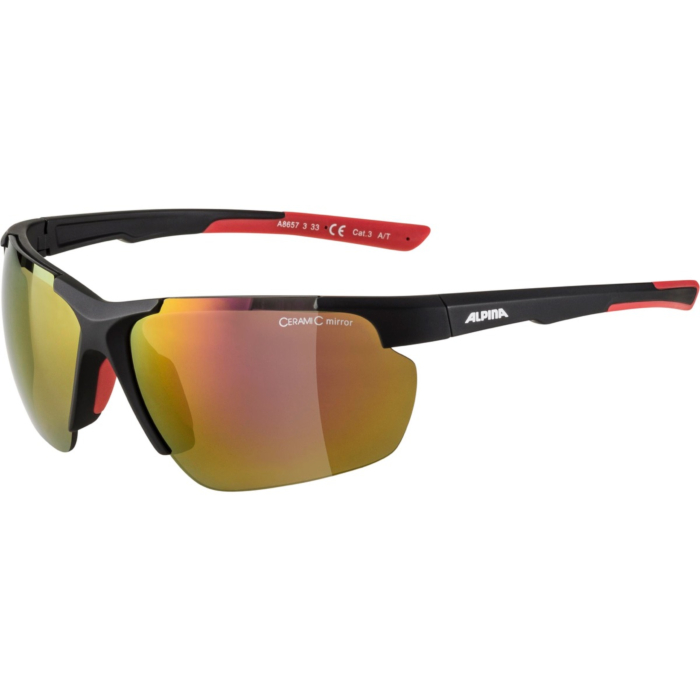 Alpina Sports biciklističke naočale DEFEY HR black