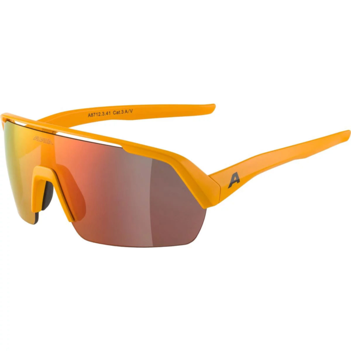 Alpina Sports biciklističke naočale TURBO HR