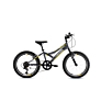 Capriolo bicikl MTB DIAVOLO 200 20"/6HT