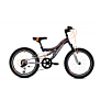 Capriolo bicikl MTB CTX200 20/6HT