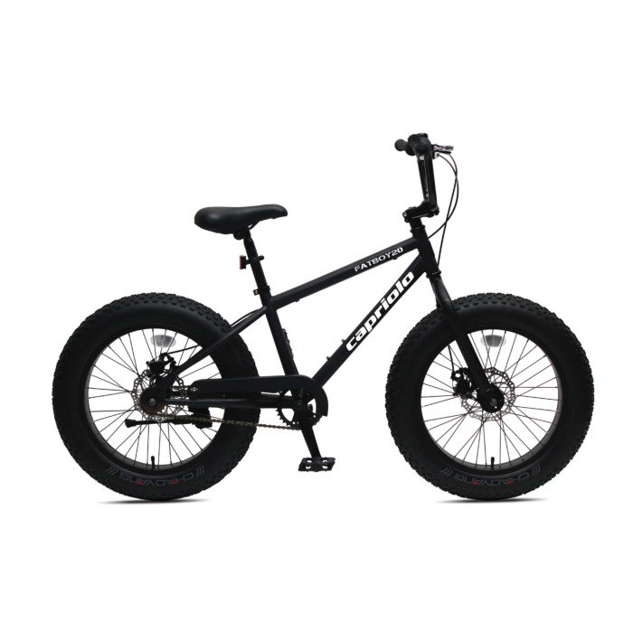 Capriolo bicikl FAT BOY 20/1