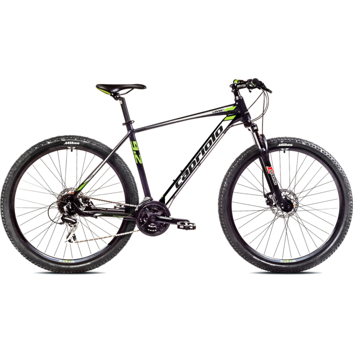 Capriolo bicikl MTB LEVEL 9.2 29/24AL