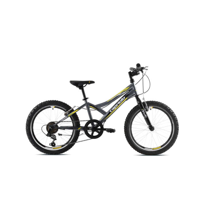 Capriolo bicikl MTB DIAVOLO 200 20"/6HT