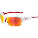 Alpina Sports biciklističke naočale LYRON