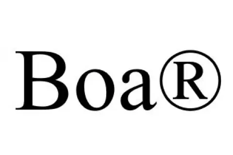 Boa® 360 Fit System